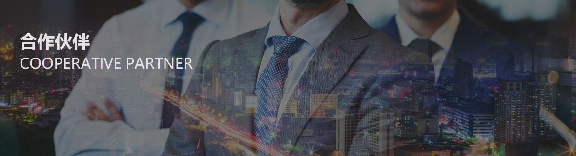 合作伙伴 合作伙伴
